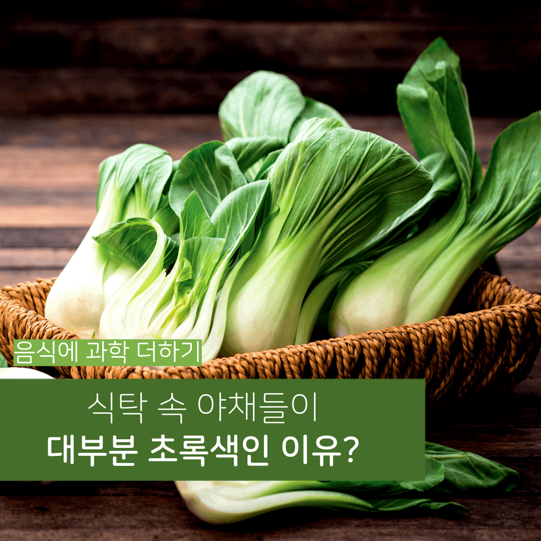 [음식에 과학 더하기] 식탁 속 야채들이 대부분 초록색인 이유?