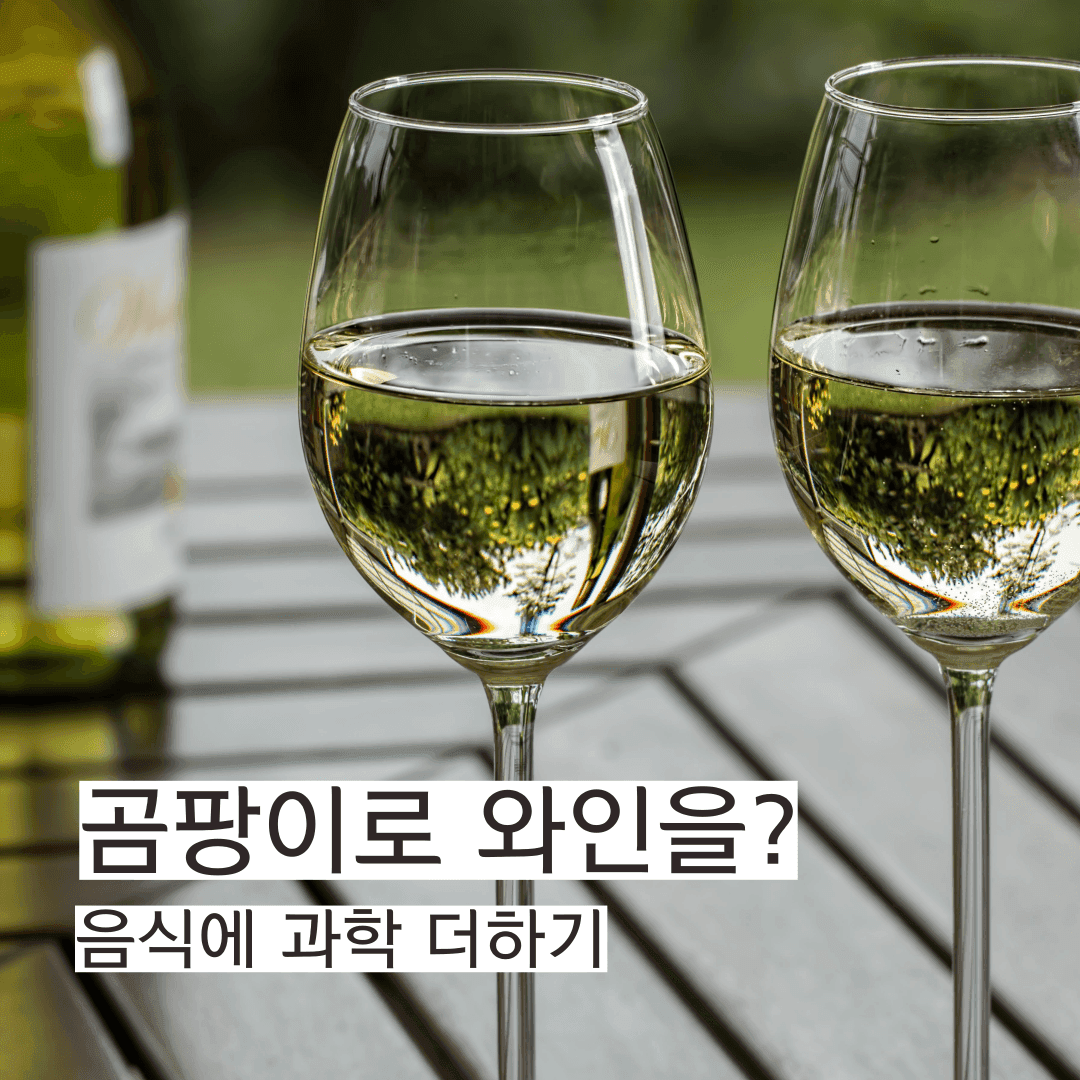 곰팡이가 나쁜 것만은 아니야! 곰팡이가 핀 딸기로 와인을 만들기도 한다고?