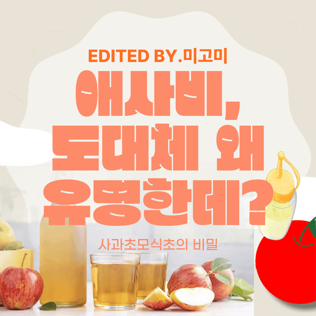 애사비가 왜 유명한데? 사과초모식초의 비밀