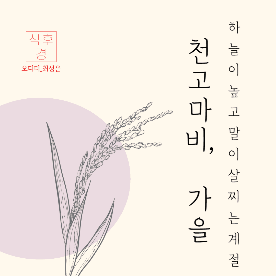 하늘이 높고 말이 살찌는 계절, 천고마비(天高馬肥)!
