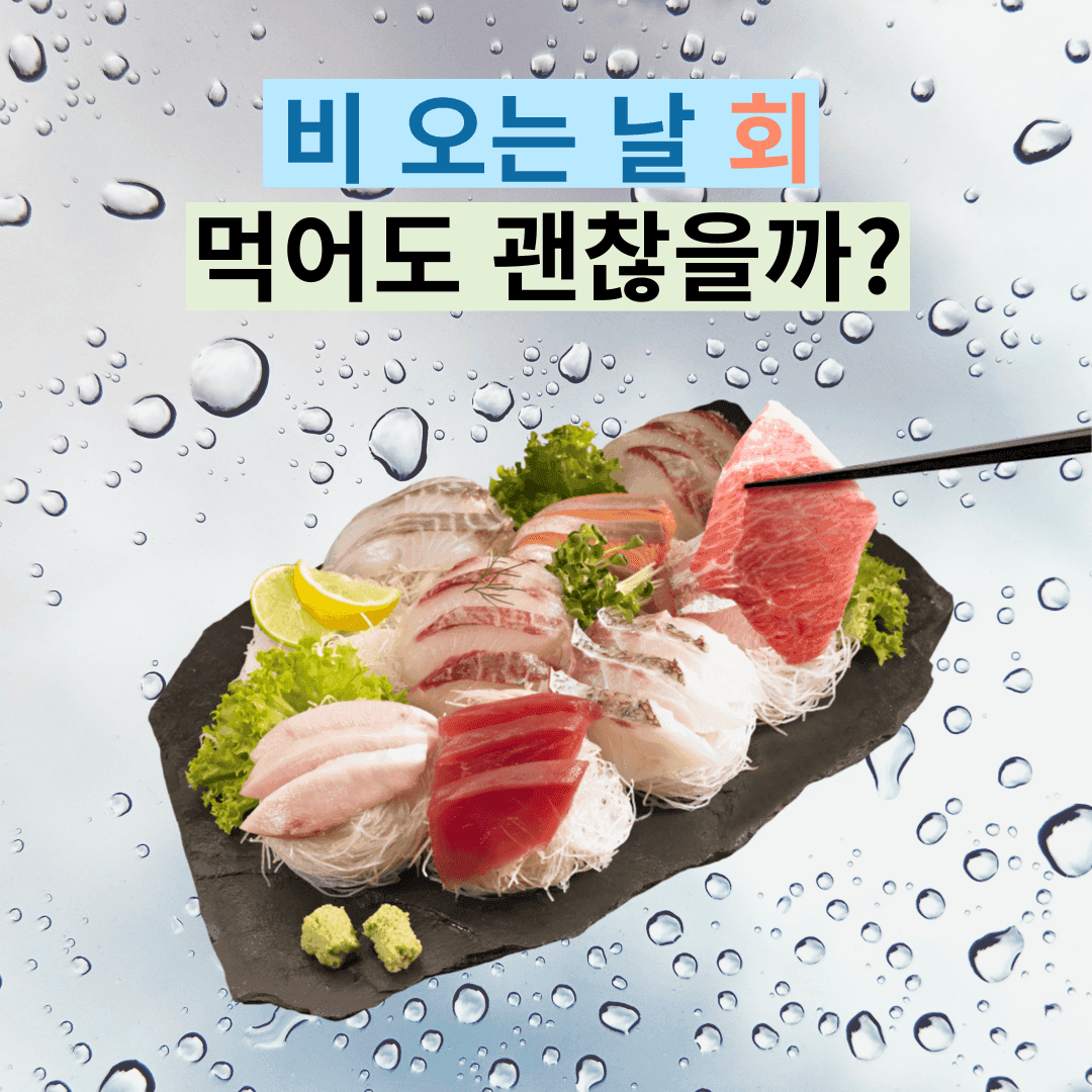 비 오는 날 회 먹어도 괜찮을까?