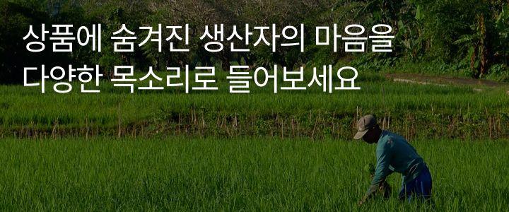 STORY 배너