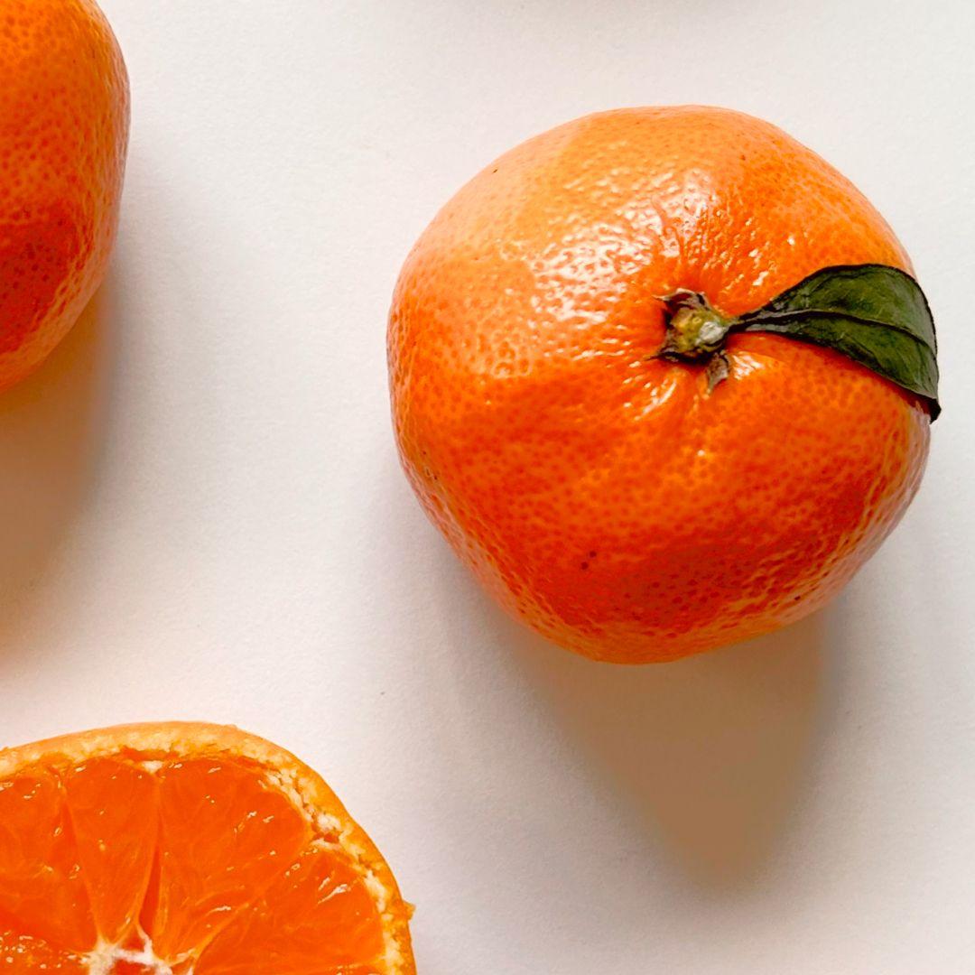 제주 감귤 6개입(500g 내외) | 신선 제철 과일