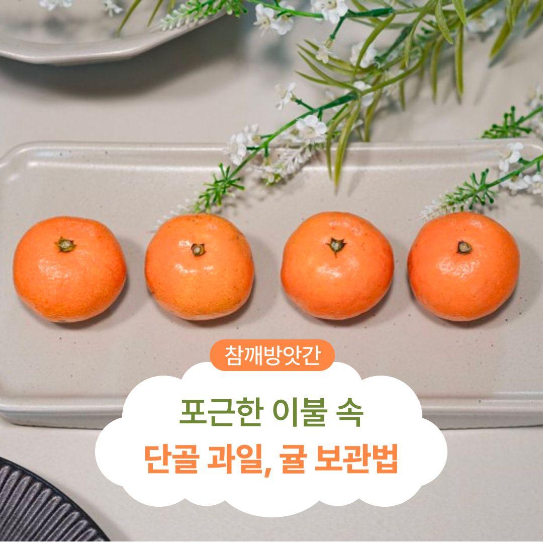 포근한 이불 속 단골 과일, 귤 보관법