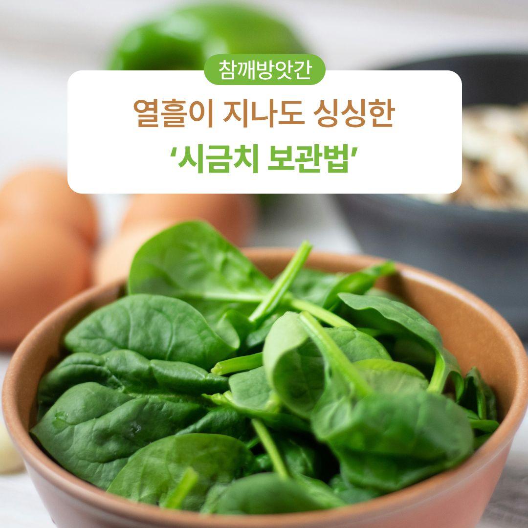 열흘이 지나도 싱싱한 ‘시금치 보관법’