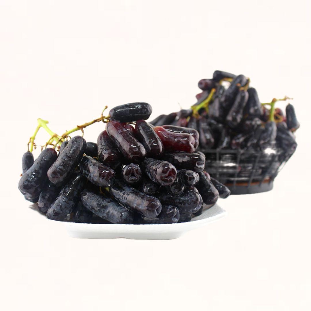 [신선] 씨없는 블랙사파이어 포도 | 800g~4.8kg 