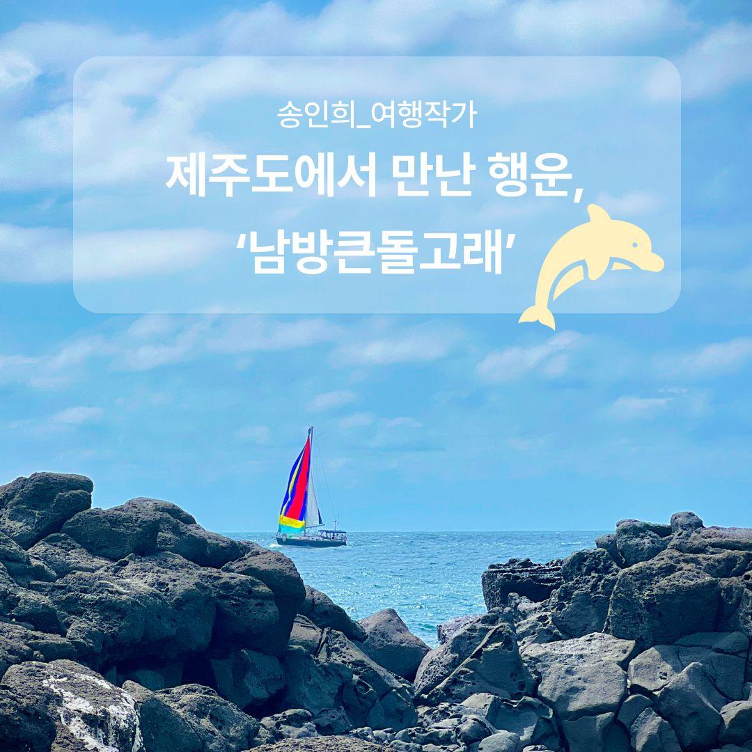 제주도에서 만난 행운, ‘남방큰돌고래’