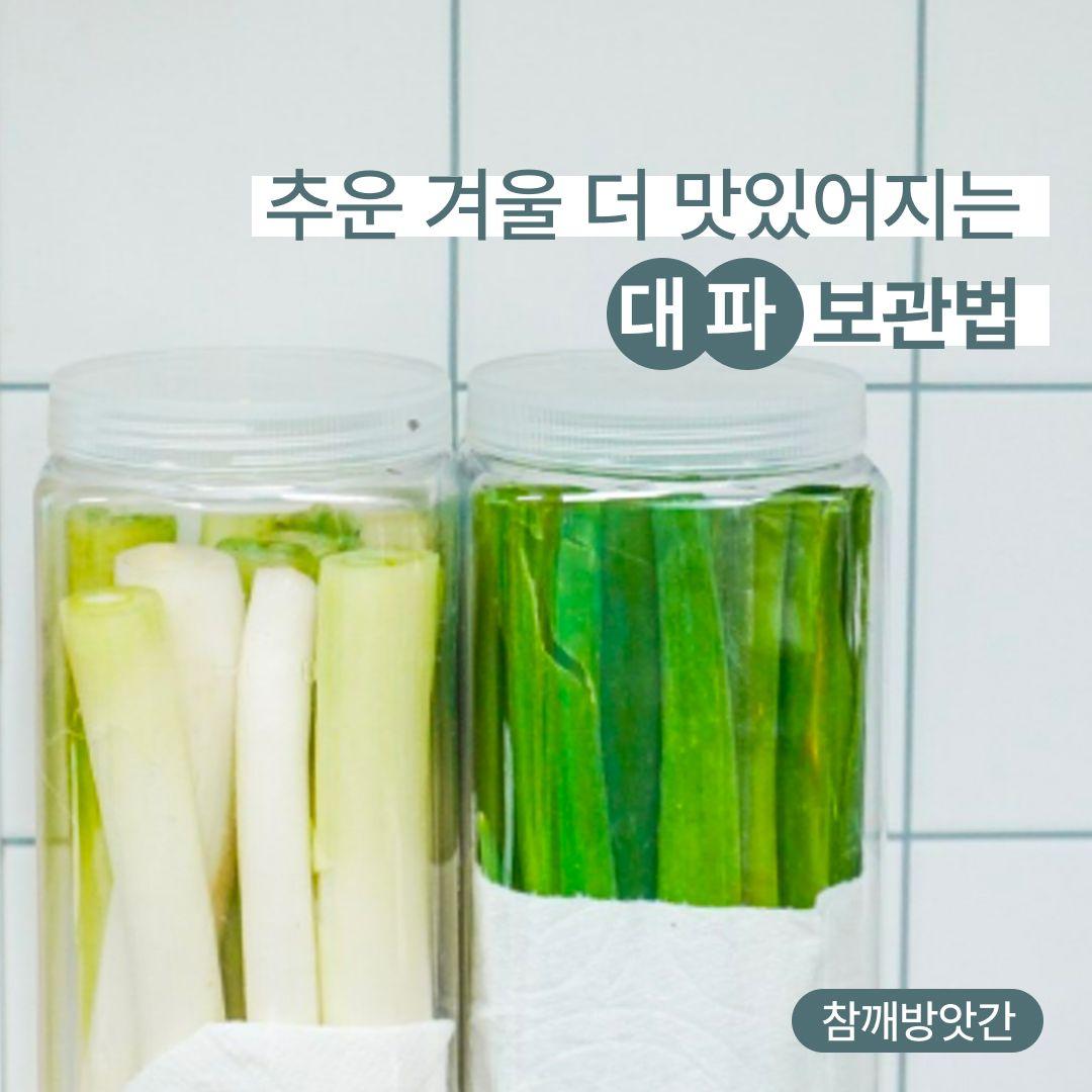 추운 겨울 더 맛있어지는 대파 보관법