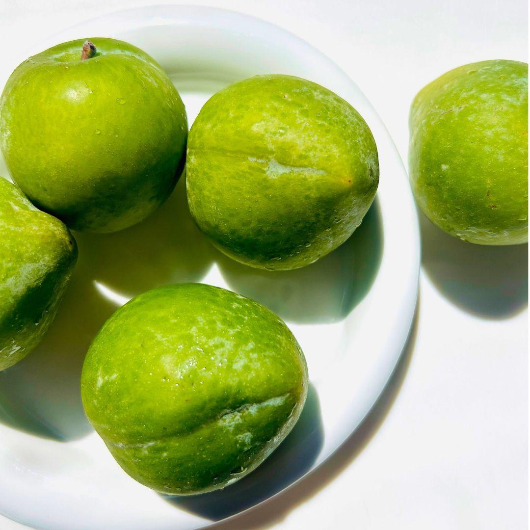 켈시자두 6개입ㅣ달달함 1등 자두계의 샤인머스캣