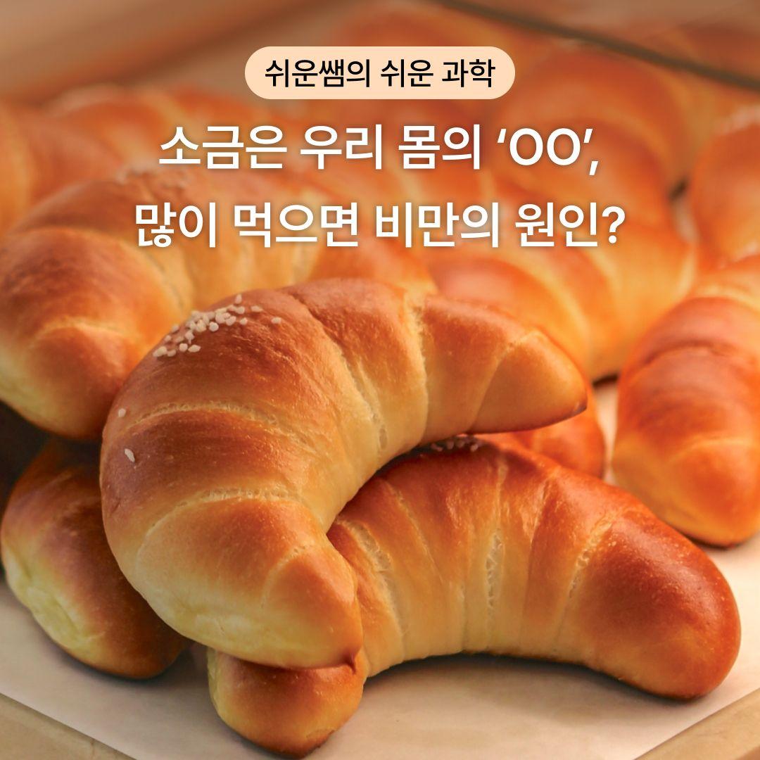 [쉬운 과학] 소금은 우리 몸의 ‘OO’, 많이 먹으면 비만의 원인?