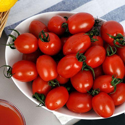 [신선] 충남부여 대추방울토마토 | 1~5kg , 1~4번과