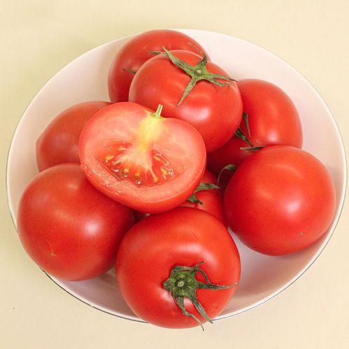 [신선] 완숙토마토 | 중,대과, 10~20과
